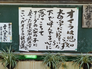 浄土真宗の教えを聴き〜行動する仏教を実践する〜                      
 光蓮寺 ビハーラハウス