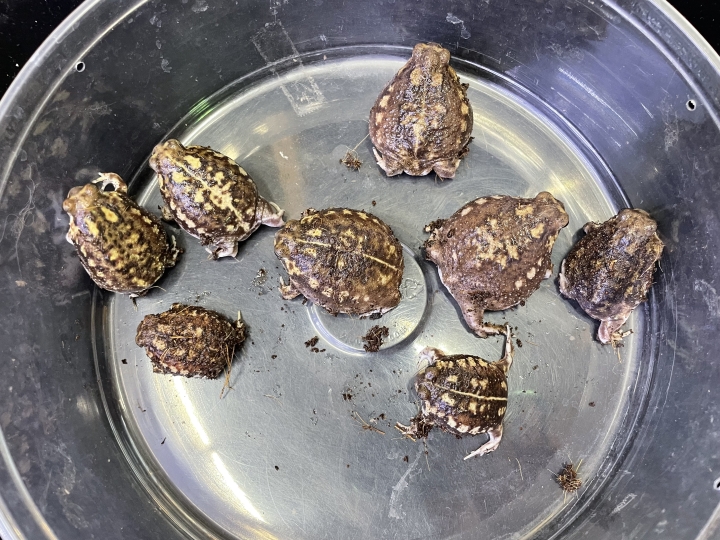 クリックすると拡大します