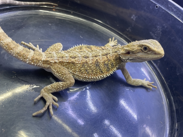 クリックすると拡大します