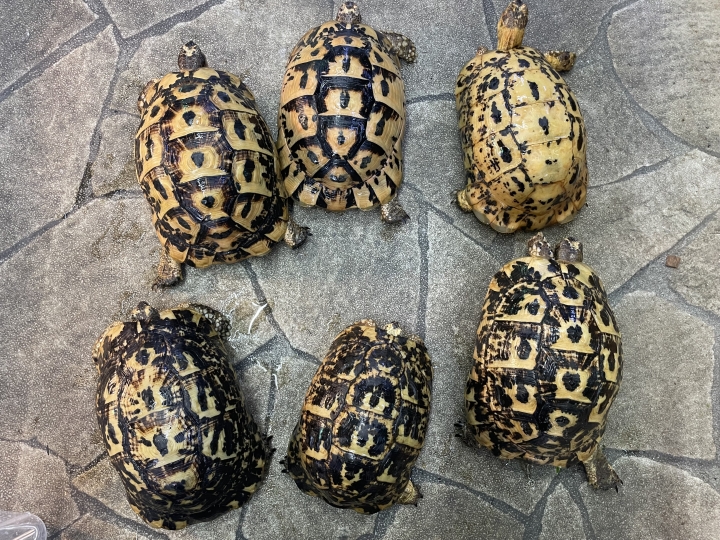 クリックすると拡大します
