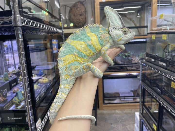 クリックすると拡大します