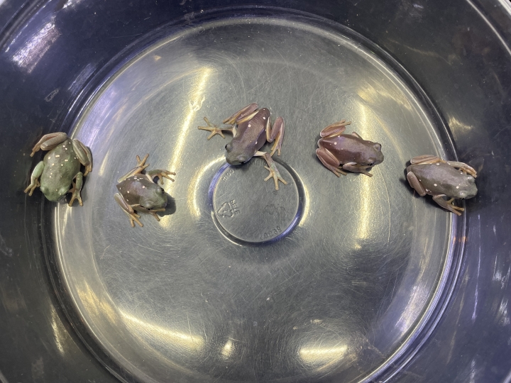 クリックすると拡大します