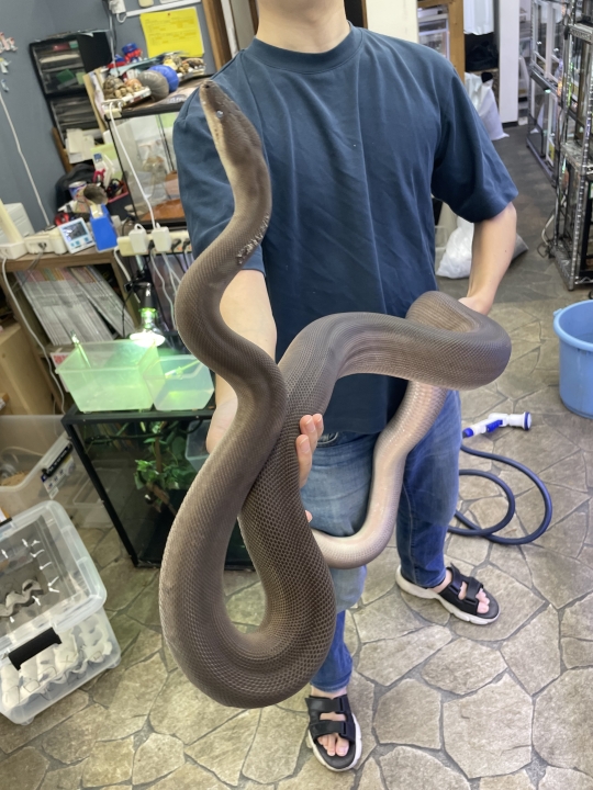 クリックすると拡大します