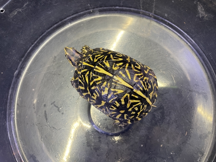 クリックすると拡大します