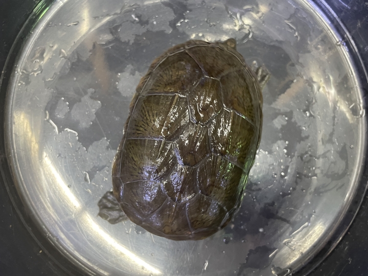 クリックすると拡大します