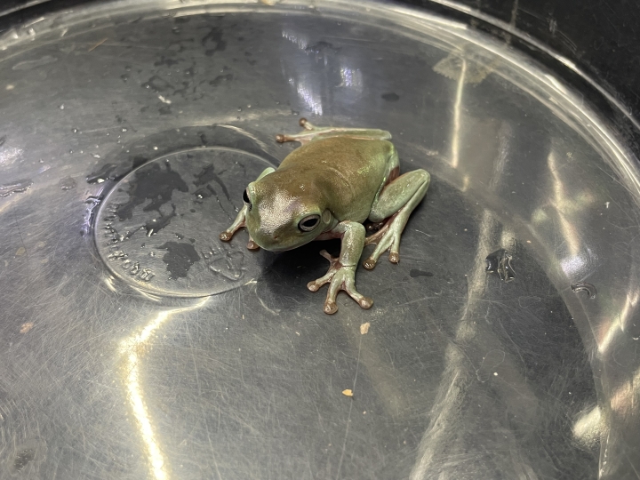 クリックすると拡大します