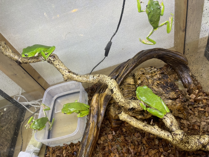 クリックすると拡大します