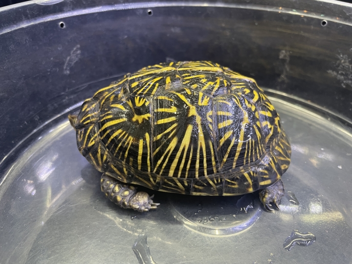 クリックすると拡大します