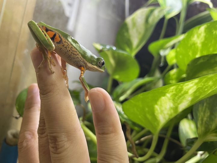 クリックすると拡大します