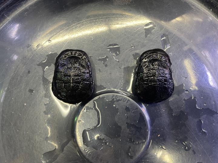 クリックすると拡大します