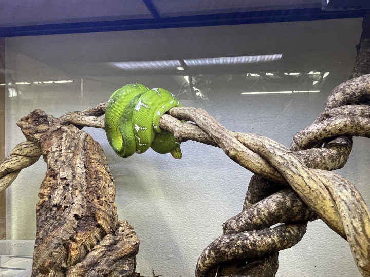 クリックすると拡大します