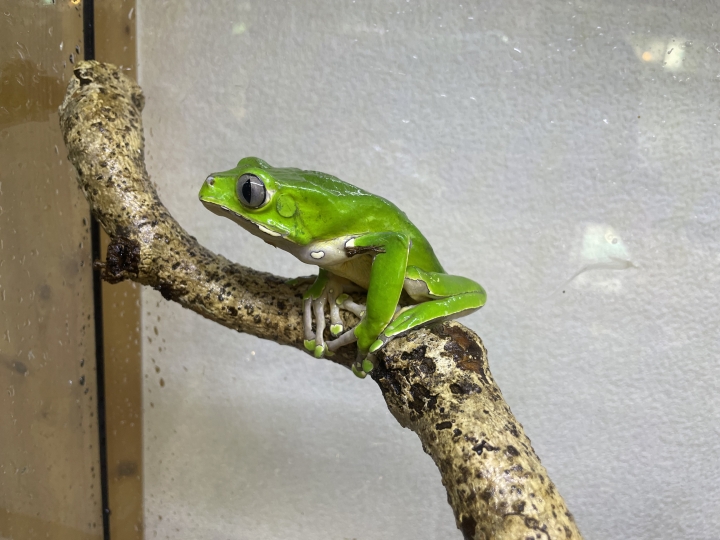 クリックすると拡大します