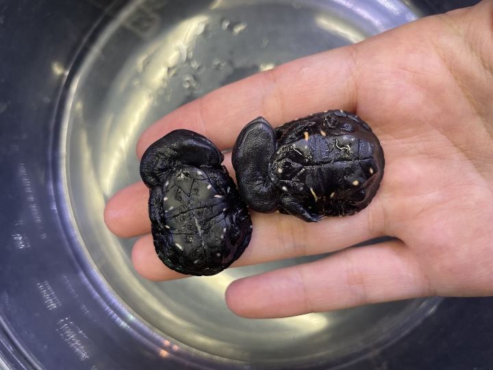 クリックすると拡大します