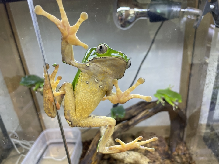 クリックすると拡大します