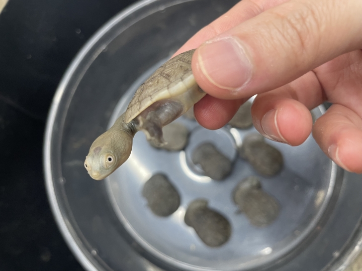 クリックすると拡大します