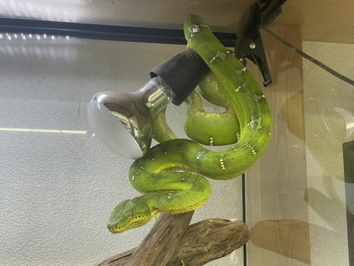 クリックすると拡大します