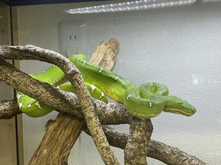 クリックすると拡大します