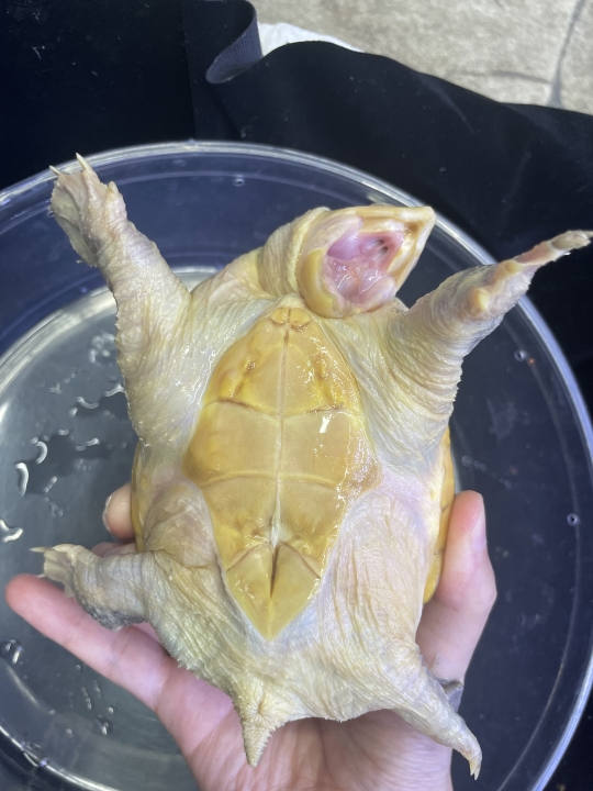 クリックすると拡大します