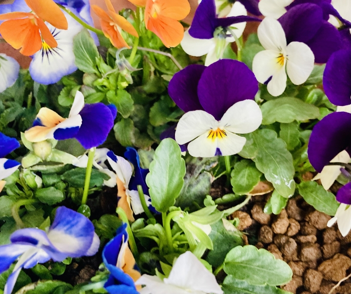 クリックすると拡大します