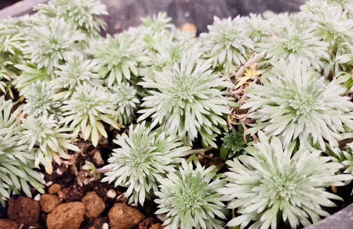 クリックすると拡大します