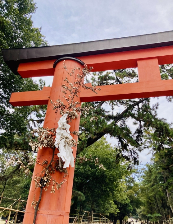 クリックすると拡大します