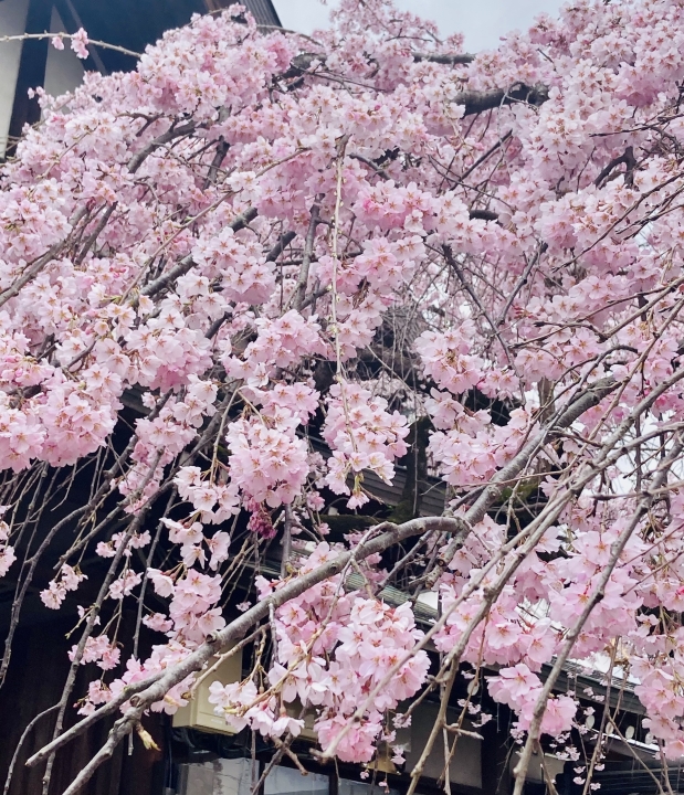 クリックすると拡大します