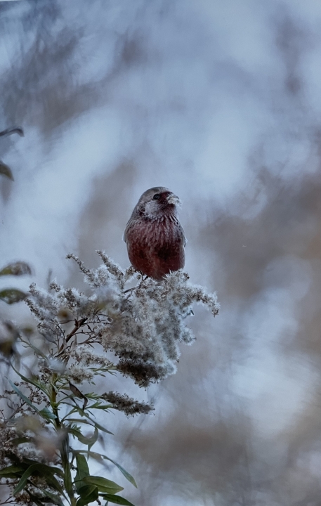 クリックすると拡大します