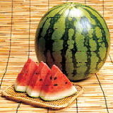 クリックすると拡大します