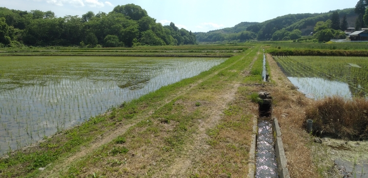 クリックすると拡大します