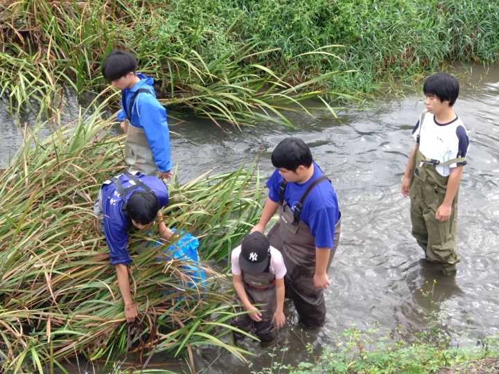 クリックすると拡大します