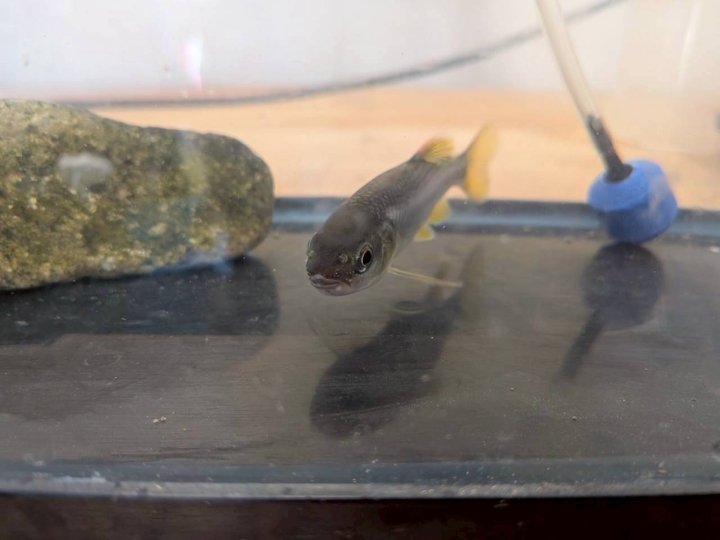 クリックすると拡大します