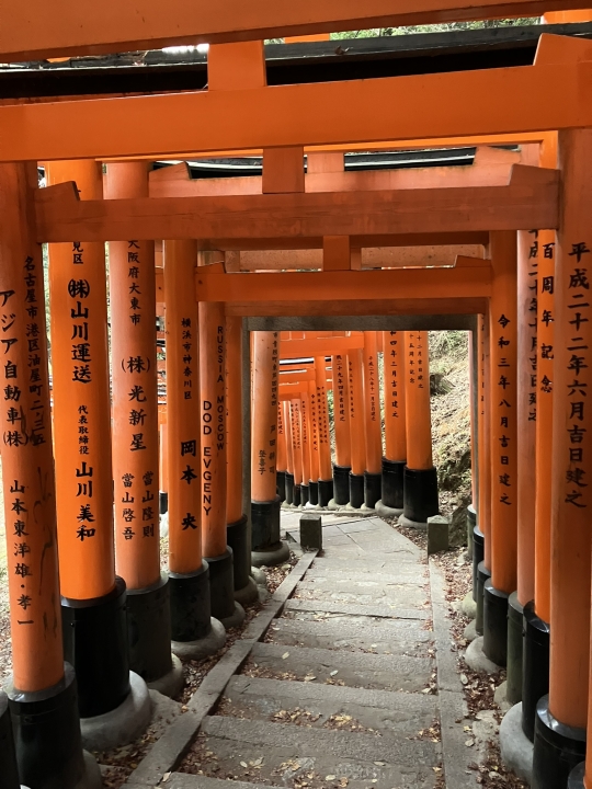 クリックすると拡大します