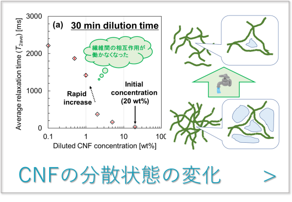 CNFの分散状態の変化