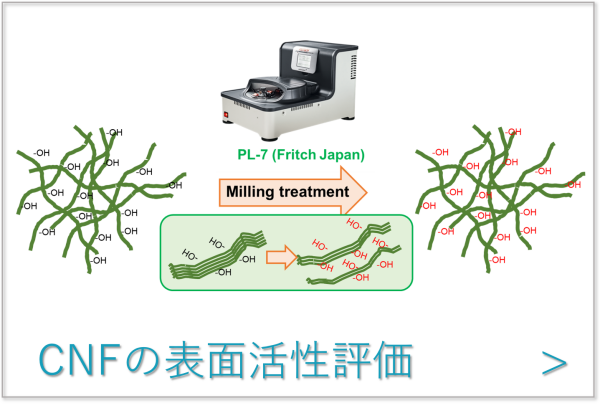 CNFの表面活性