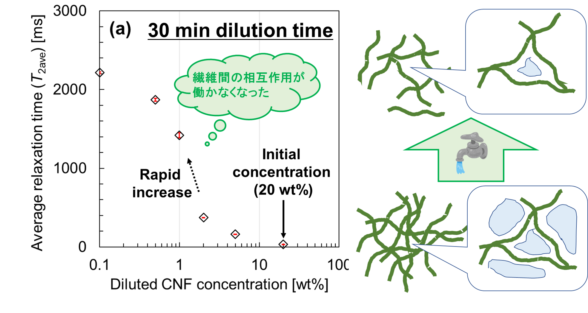 セルロースナノファイバーの希釈による分散状態の変化