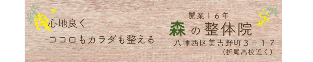 ホームページ名を入力