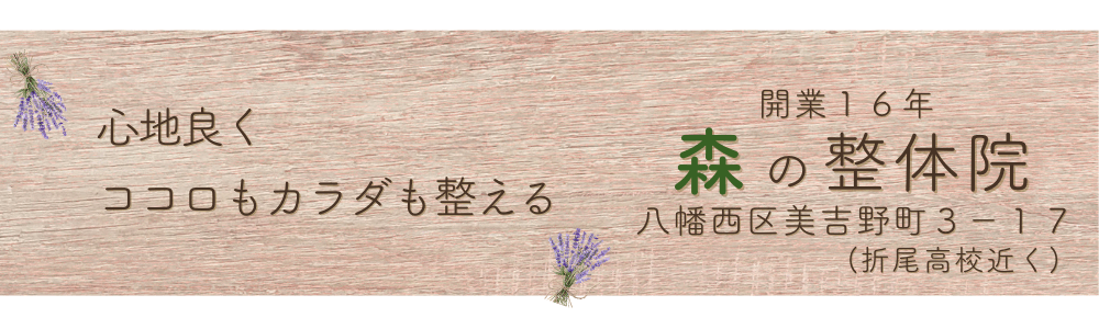 ホームページ名を入力