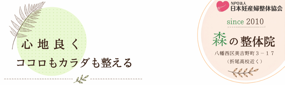ホームページ名を入力