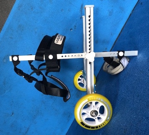 クリックすると拡大します