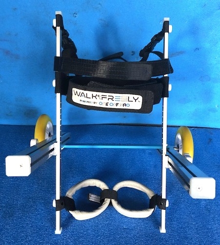 クリックすると拡大します