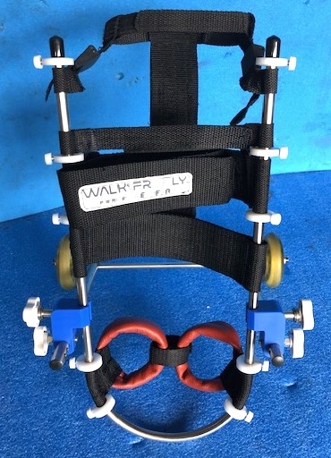 クリックすると拡大します