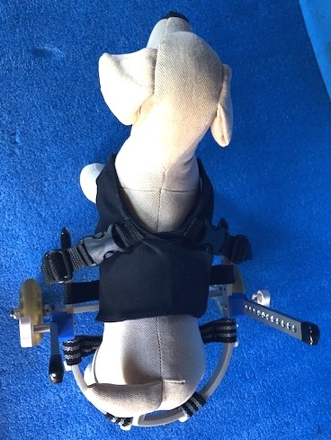 クリックすると拡大します