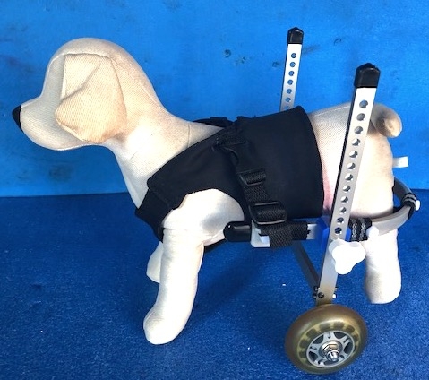 クリックすると拡大します