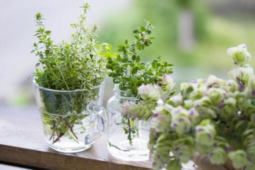 都筑区 【センター南】
 アロマセラピーサロンcuore
（クオーレ）