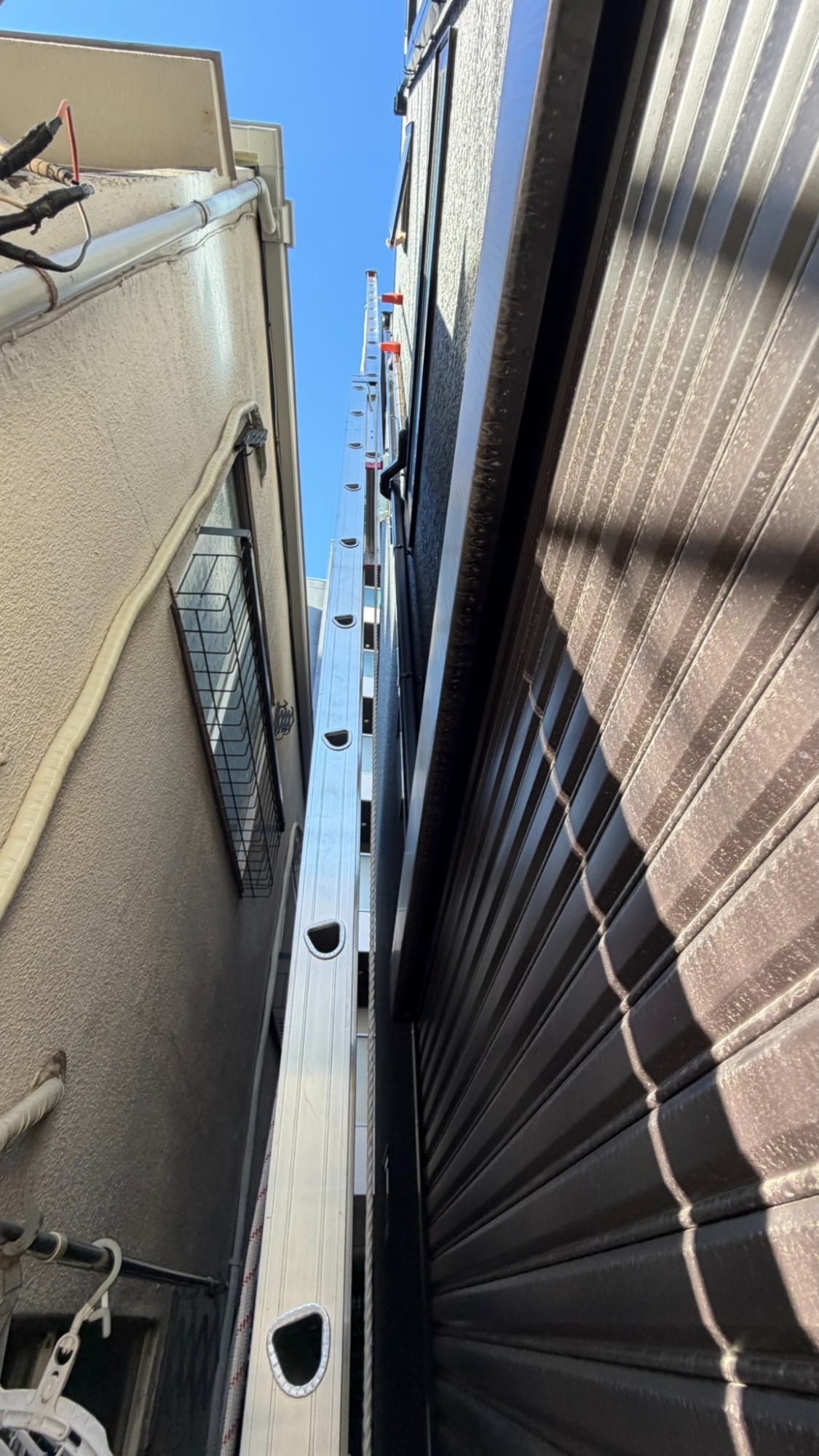 狭い建物間で外壁に沿って立つハシゴを地上から見た写真