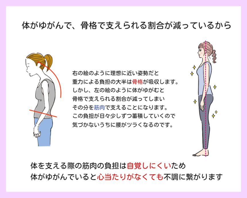 体がゆがむと骨格で支えられる割合が減ることを紹介した画像です