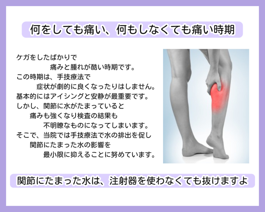 炎症期の説明をしている画像です