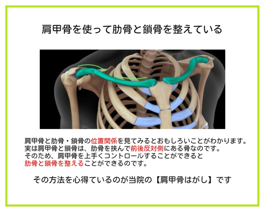肩こり改善のために行う神楽坂整体たいむの肩甲骨はがしが他院と違う理由の2つ目「肩甲骨を使って肋骨と鎖骨を整えているから」を説明した画像です。