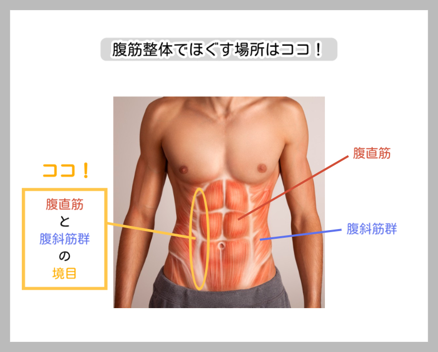 腹筋整体でほぐす場所の解説図。腹直筋と腹斜筋群の境目にあるラインを「ココ！」と強調し、ダイレクトにアプローチするポイントを示した腹部の解剖図。