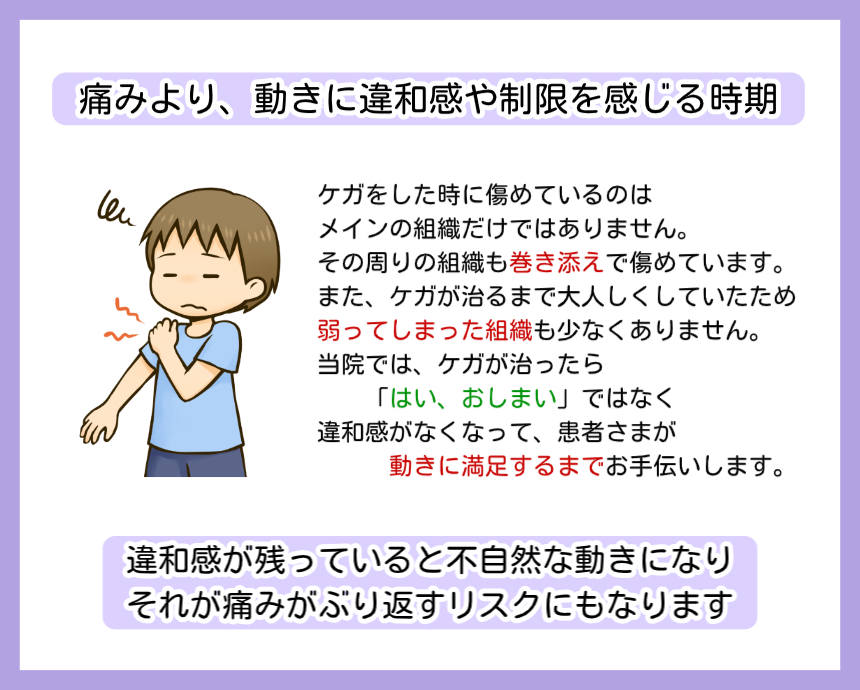 成熟期の説明をしている画像です